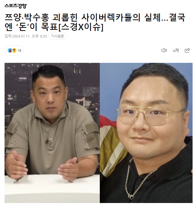 사이버렉카의 문제점