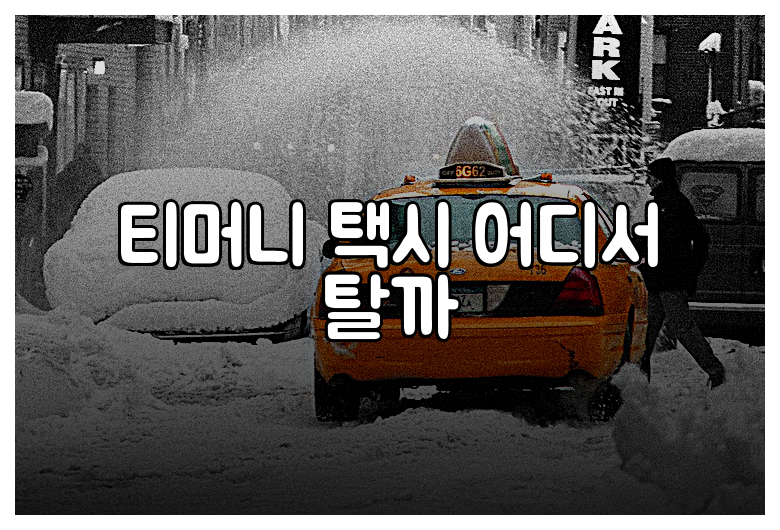 티머니 택시 어디서 탈까