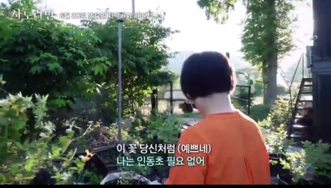 사노라면-왈가닥아내-부산-