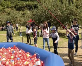 문경 사과축제_29