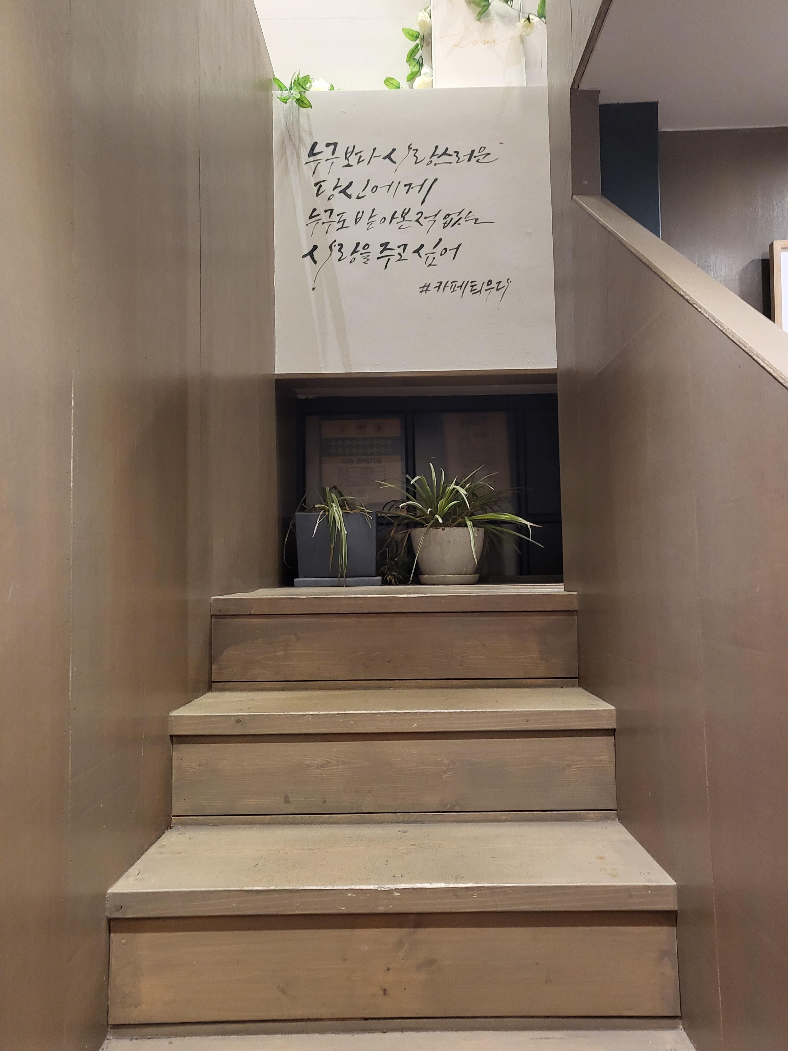 카폐틔우다