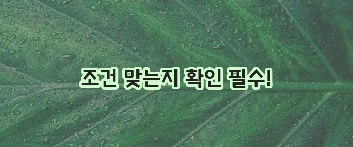 햇살론 유스 대출 대상자와 필수 서류 꼼꼼히 확인하세요!