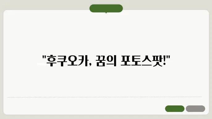 후쿠오카 사진 명소 - SNS에서 핫한 인기 포토스팟 총정리