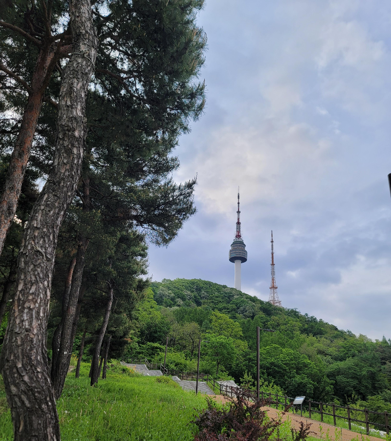 등산길에 바라본 남산타워