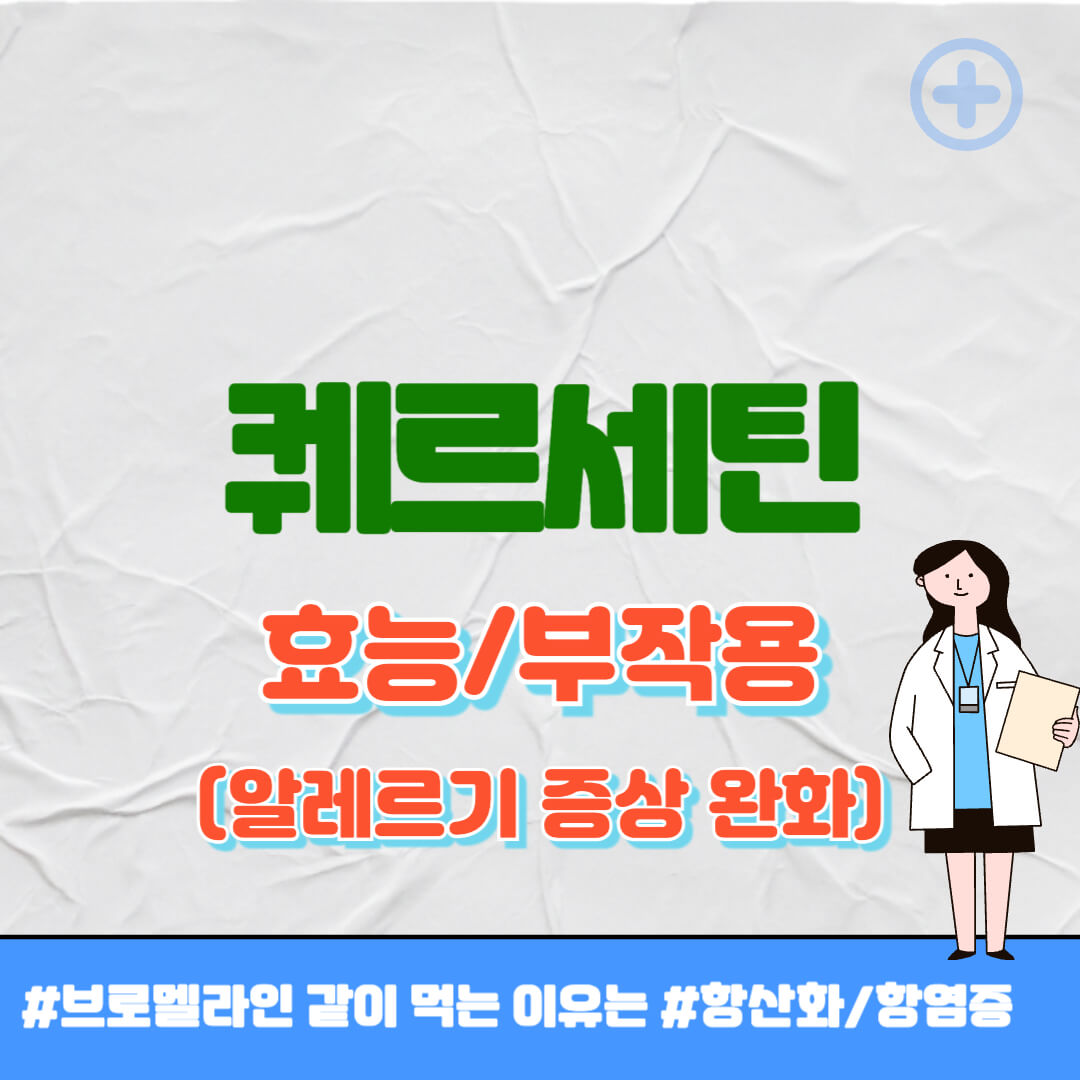 퀘르세틴 효능 썸네일