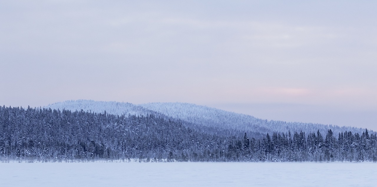 라플랜드의 겨울