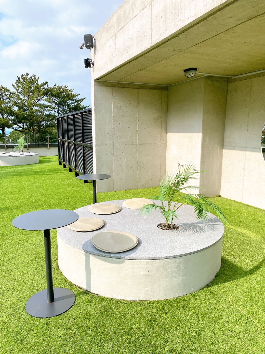 제주 애견 할리스 연북로점