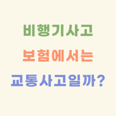 비행기-사고-보험에서는-교통사고일까
