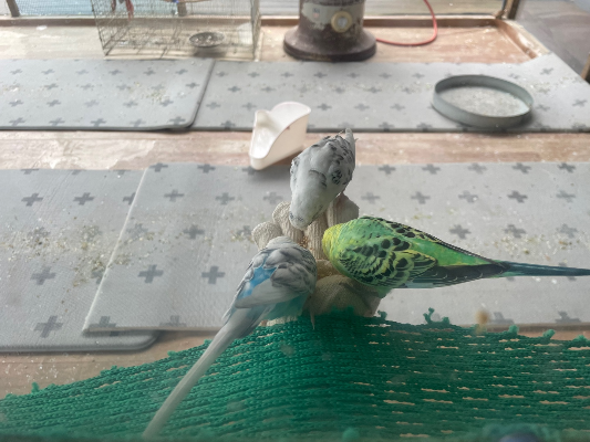 파주 동화힐링캠핑장 카라반 글램핑