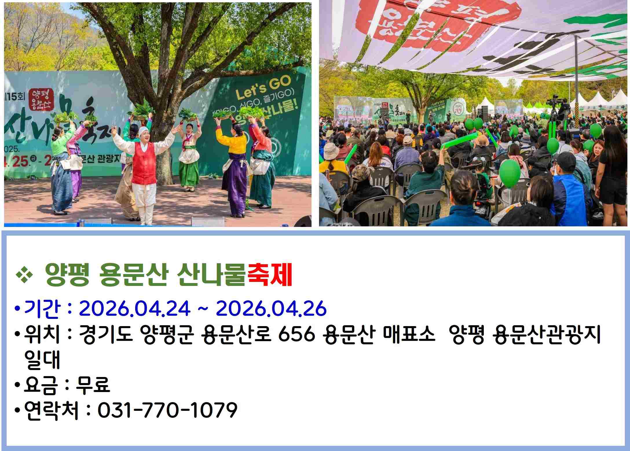 양평 용문산 산나물축제