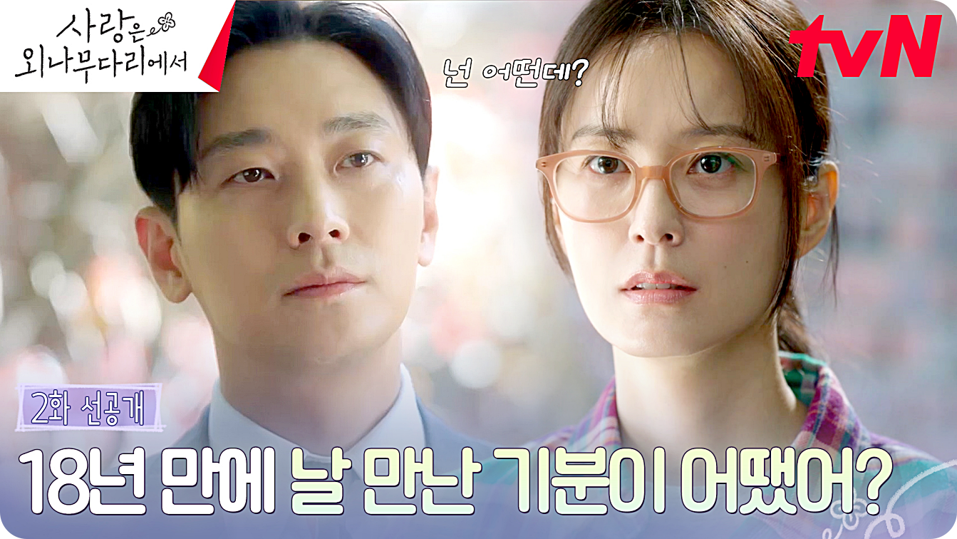사랑은 외나무다리에서