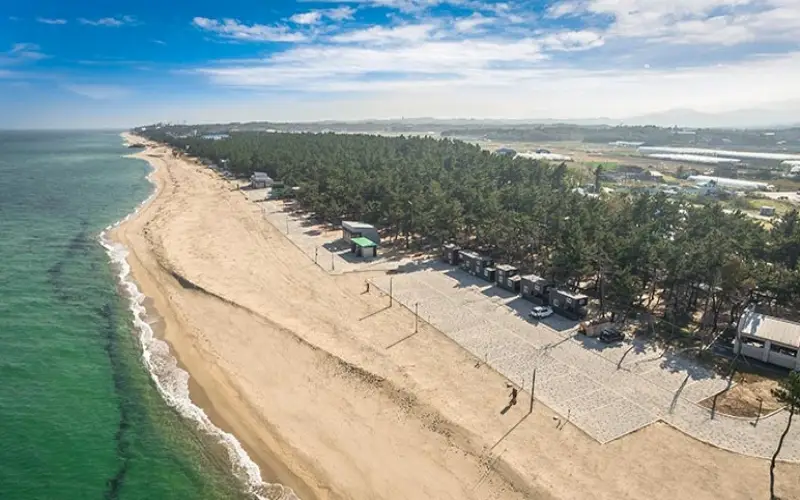 연곡 솔향기 캠핑장