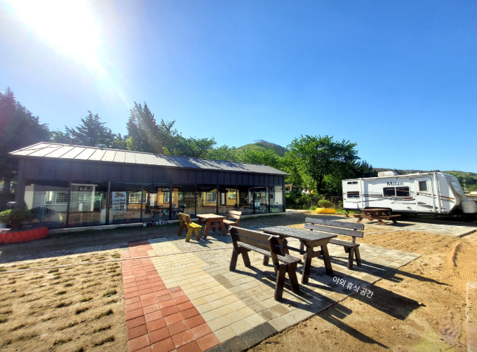 생방송투데이 동물농장 강릉