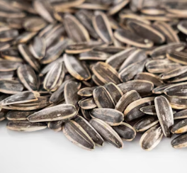 마그네슘 하루 권장량 성인 섭취량 부작용