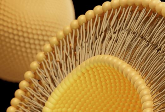 리포좀-글루타치온-효능