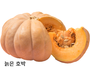 늙은 호박