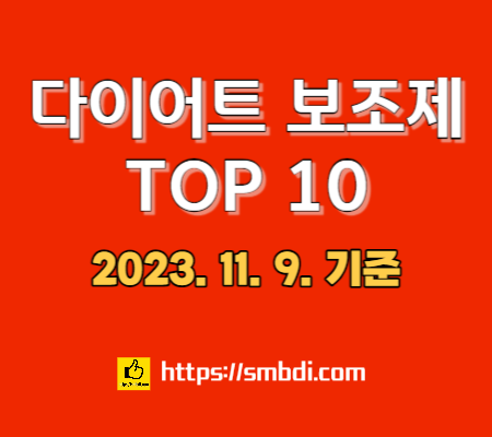 다이어트 보조제 순위 TOP 10