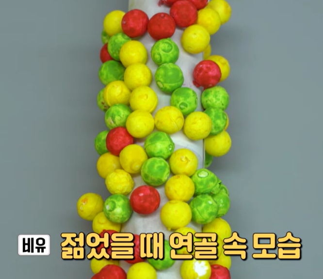 프로테오글리칸 효능