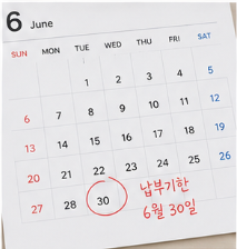납부 전 확인사항