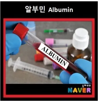 알부민 영양제 추천 주사 가격으로_26