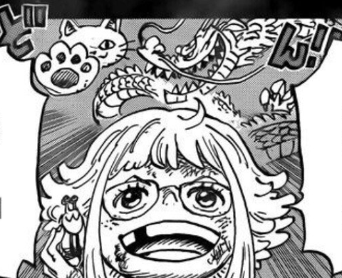 지니가 생각한 발바닥발바닥(니큐니큐) 열매