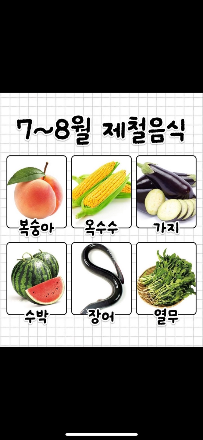 7월 8월 제철음식