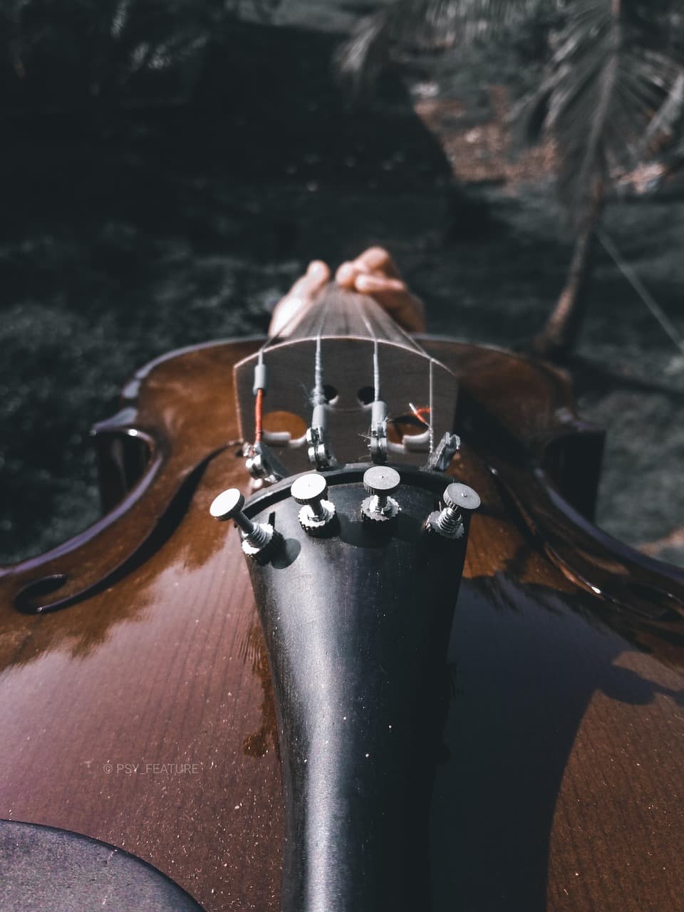 스즈키 바이올린 1권 - 알레그로: 밝고 신나는 바이올린 연주로 얻는 자신감