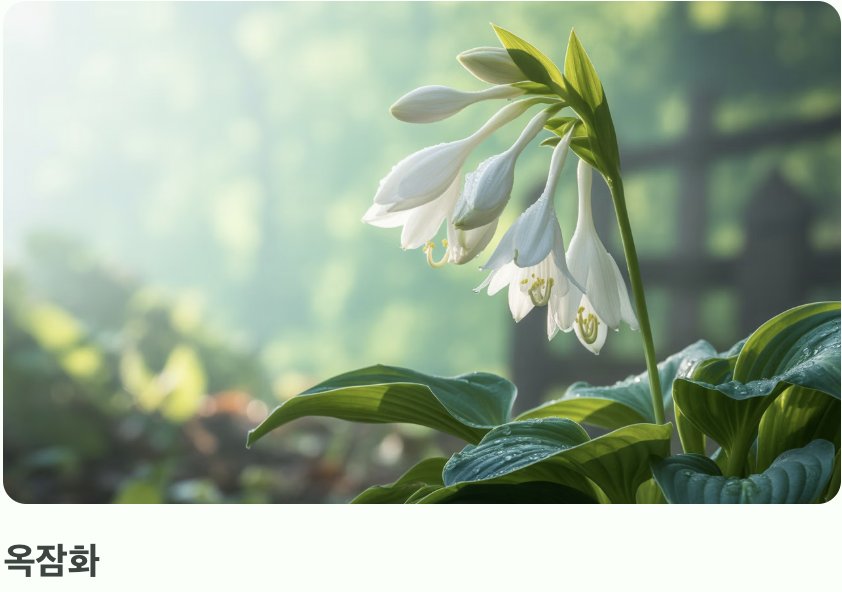 결정적인 차이&amp;#44; &amp;#39;꽃의 향기&amp;#39;를 맡아보세요