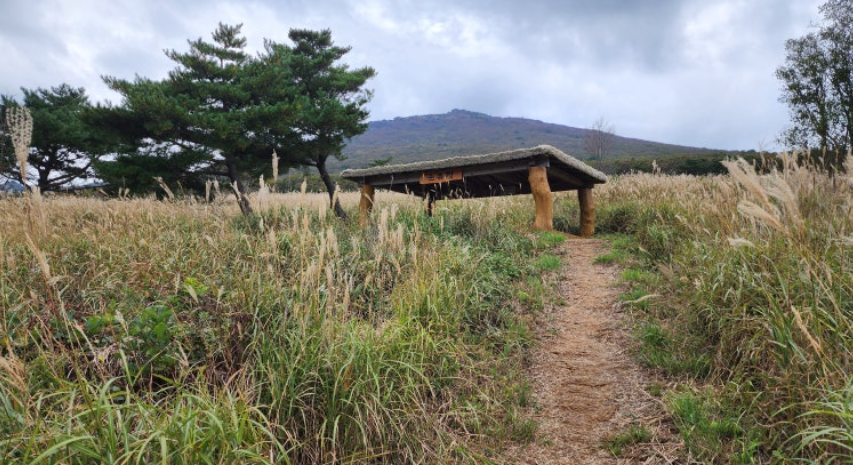 밀양 사자평 둘레길