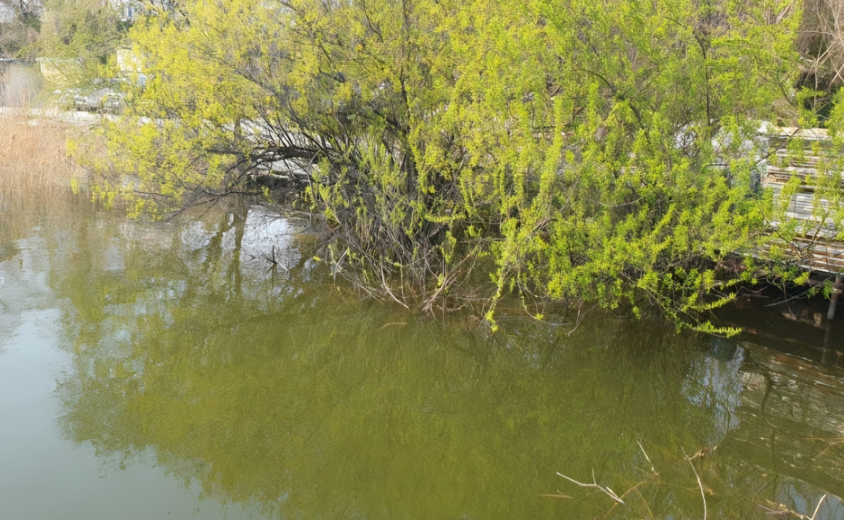 배스라면 있을 법한 포인트