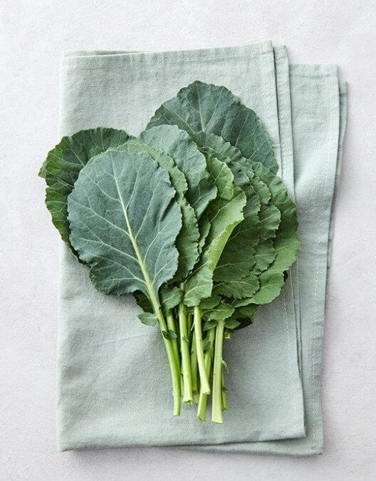 갓 따온 시금치