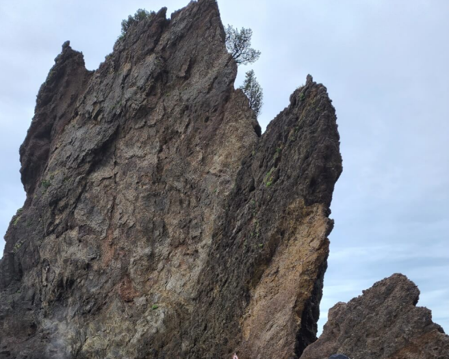 울릉도 거북 바위 사진