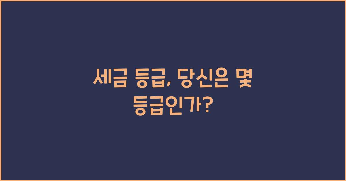 세금 등급