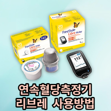 리브레 프리스타일