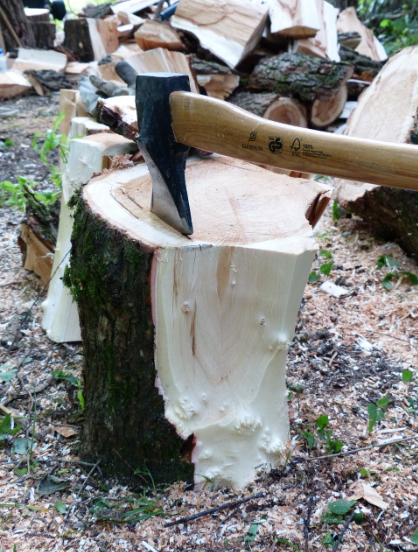 도끼 들고 나무 자르기 대결? 캐나다 벌목 대회 축제 속으로