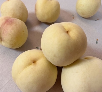 설아복숭아대전