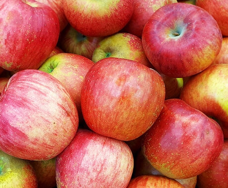 설사에 좋은 음식