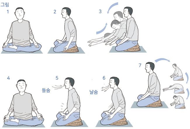 호흡이 바뀌면 몸이 달라진다 관련 사진
