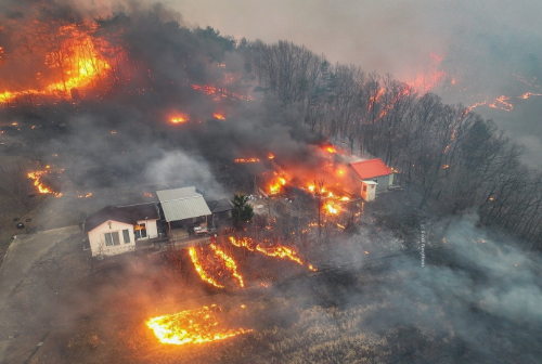 불타버린 삶 위에 희망을 지어주세요 &ndash; 2025 산불 피해 이웃 돕기