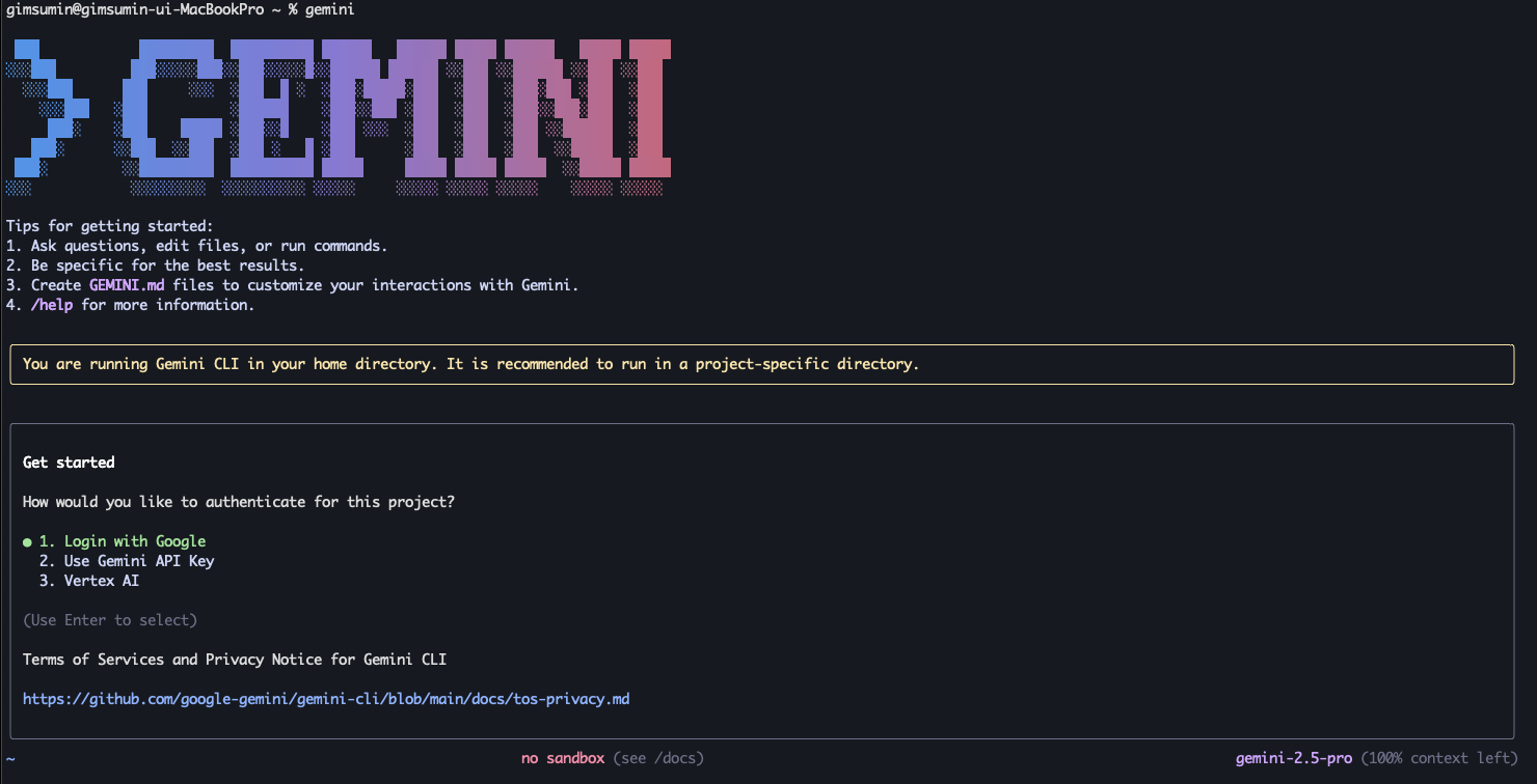 gemini-cli 설치 후 터미널에 gemini를 입력 했을때 나타나는 최초화면 스크린샷