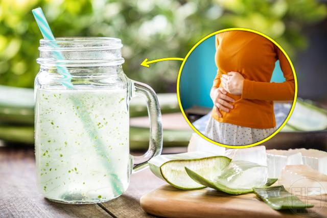 속이 답답하고 더부룩할때 소화불량 해결 방법 알로에베라주스