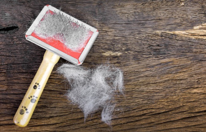 탈모가 생겼다.