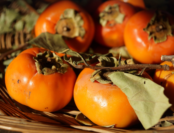 신선한 감 고르기