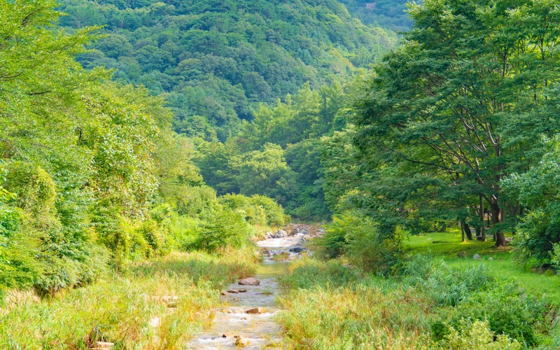 문경새재 여행코스 오픈세트장 입장료,주차장,드라마 촬영지 관람 안내 및