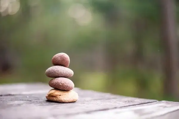 장애인활동지원사 구직&amp;#44;급여