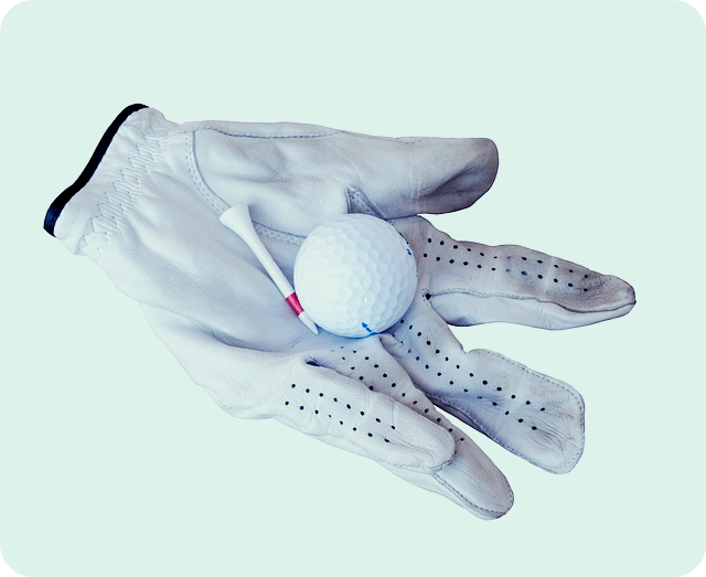 골프장갑