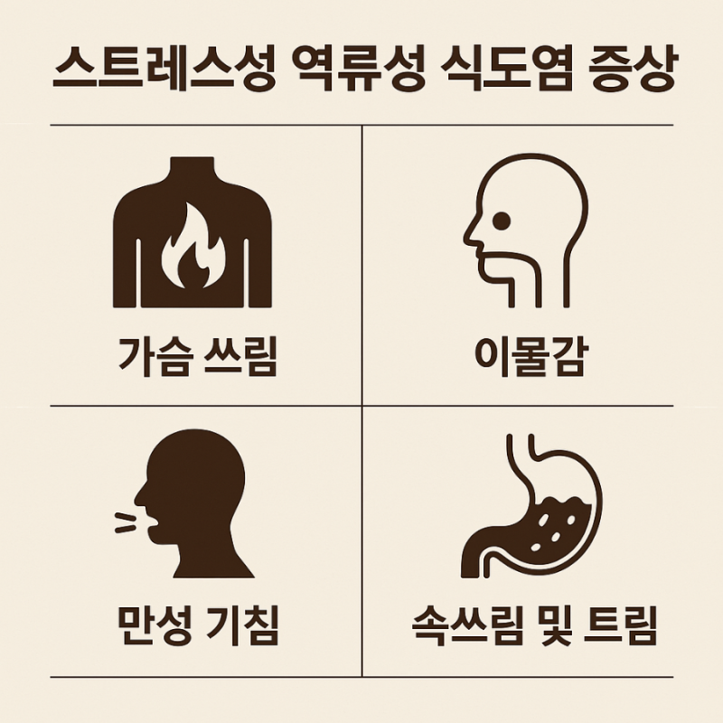 역류성 식도염 재발 이유&amp;#44; 약을 먹어도 계속 불편한 진짜 원인