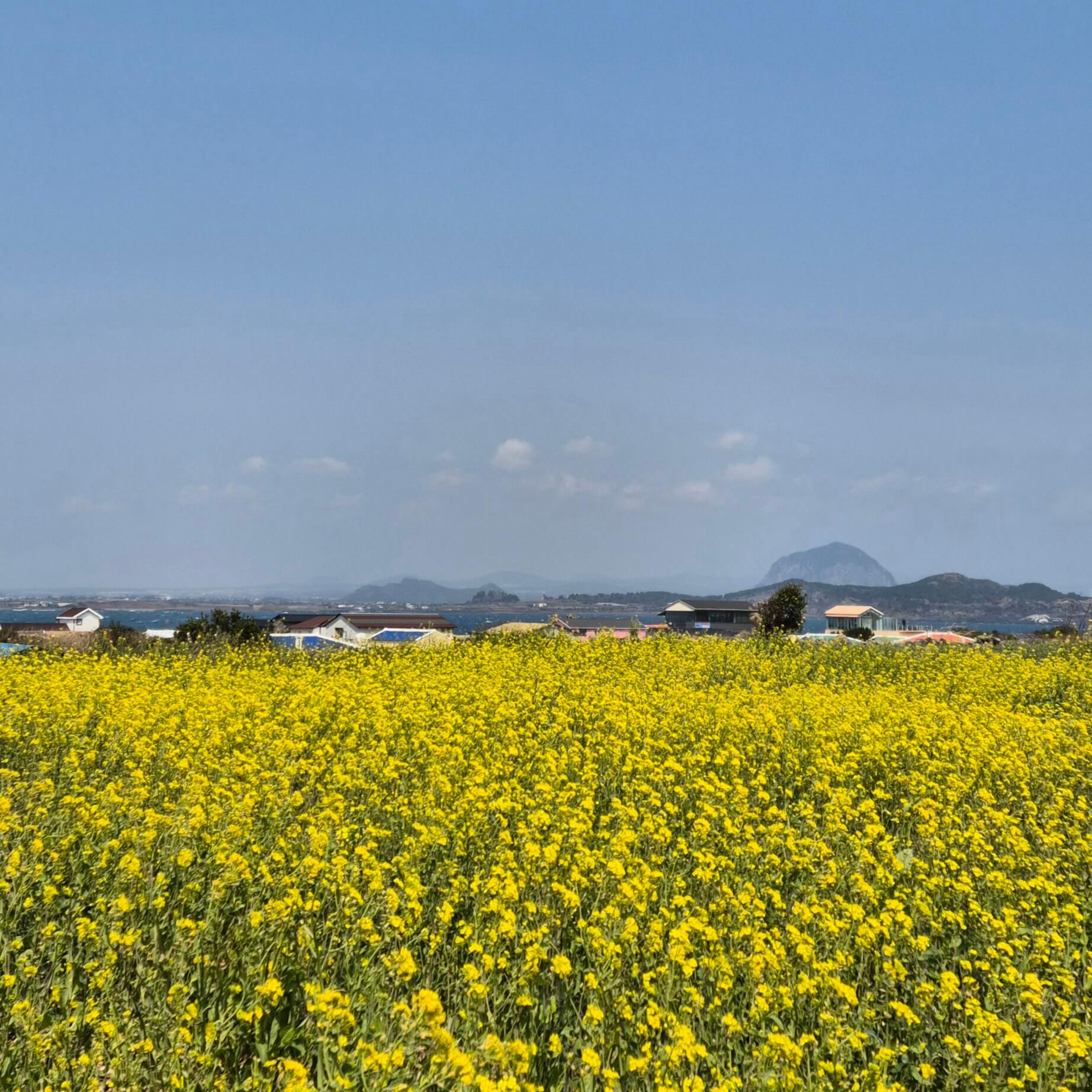 다발성 경화증 증상