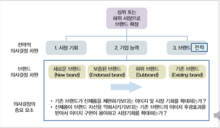 브랜드 수직적 확장을 위한 의사결정 요소