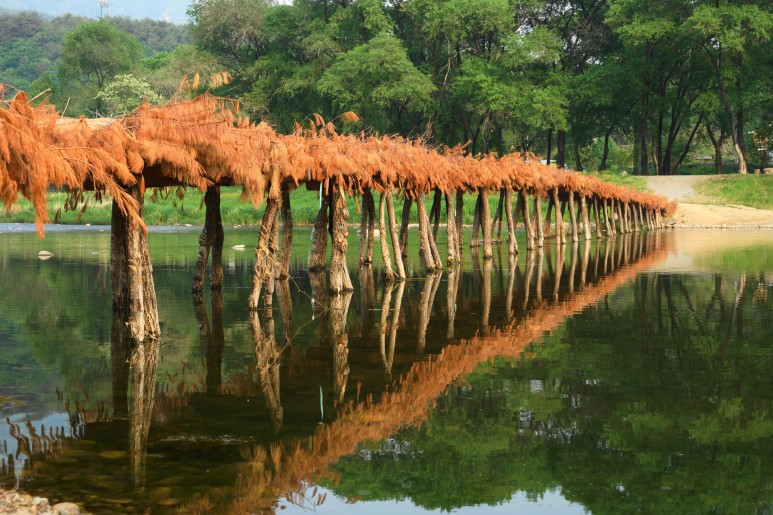 영월 섶다리마을